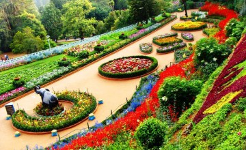 Ooty